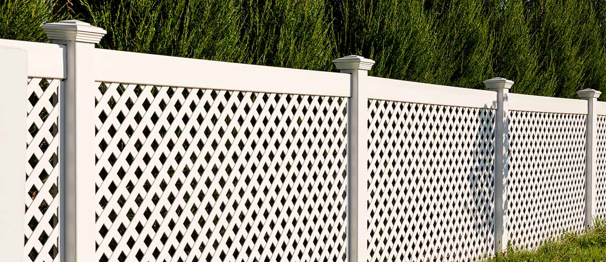 white vinyl fence in backyard